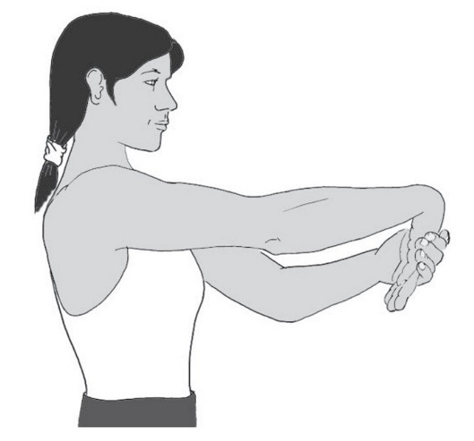 ท่ายืดกล้ามเนื้อแขนด้านหลัง (Wrist extensors stretch)